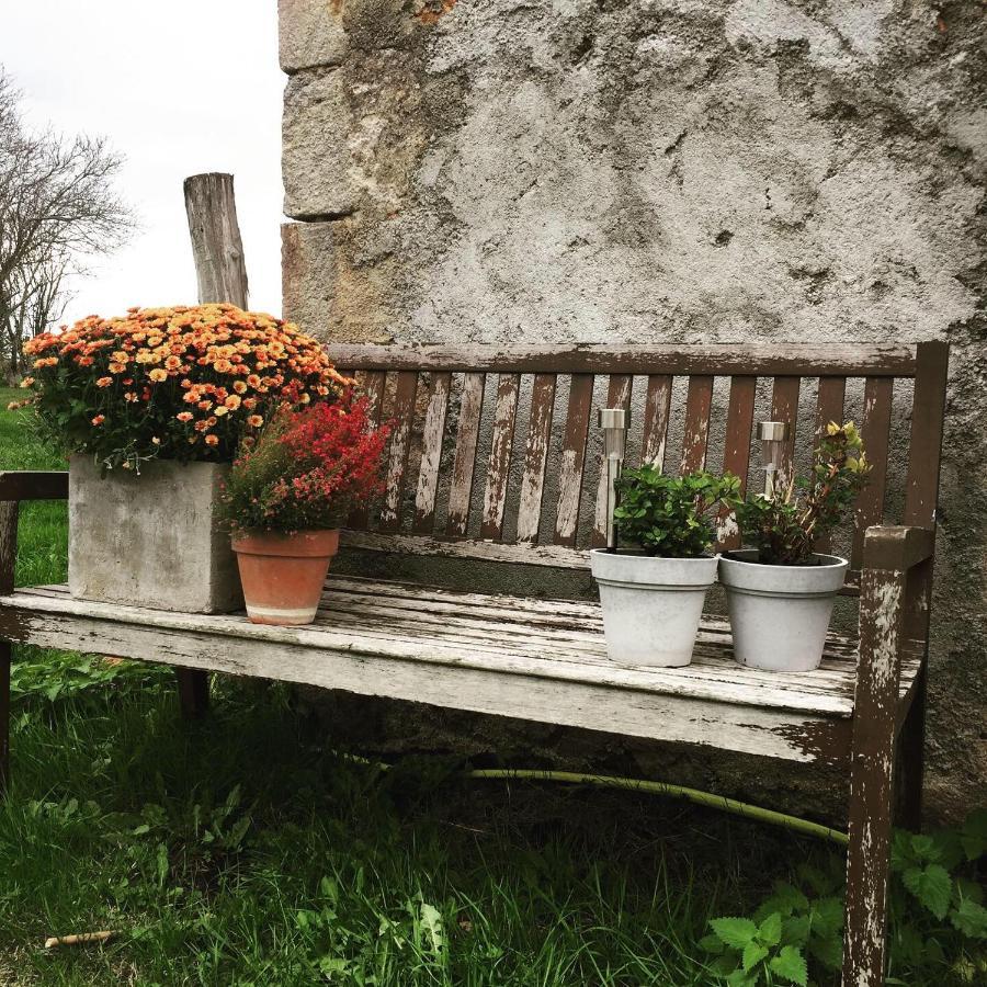 Bed and Breakfast Domaine Les Grands Pérons Hérisson Exterior foto